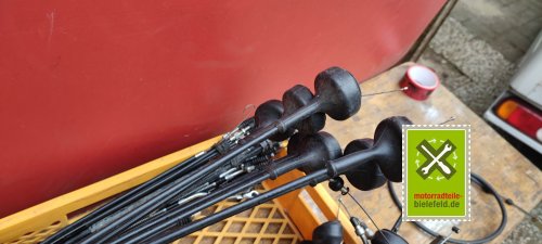 IMG_20230830_145847
